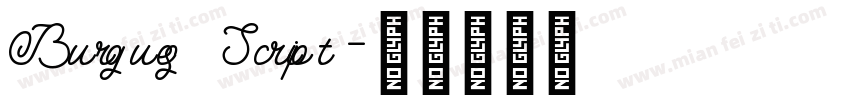 Burgues Script字体转换